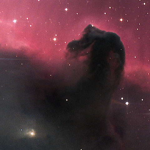 馬頭星雲のクローズアップ