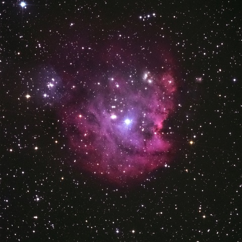 モンキー星雲 (NGC2174)