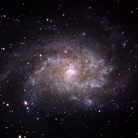 M33