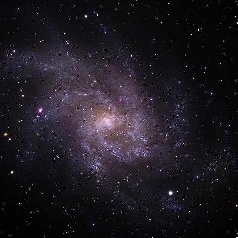 X-M1にて撮り直した M33