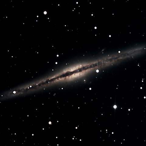 30cm主砲にて撮り直した NGC891