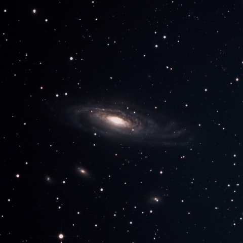 NGC7331