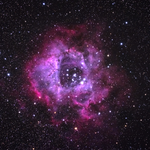 バラ星雲 (FC-76DC+X-T20)