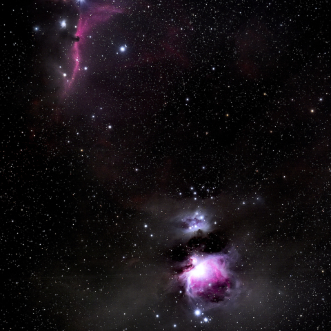 庭撮りのM42と馬頭星雲