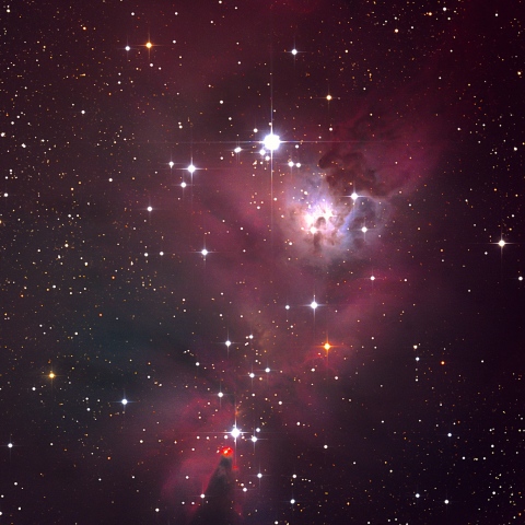 NGC2264
