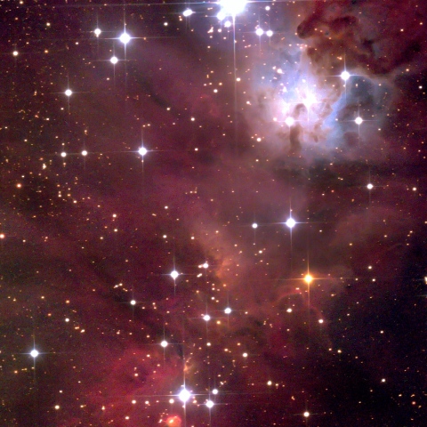 NGC2264