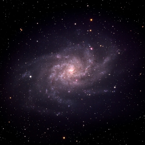 M33