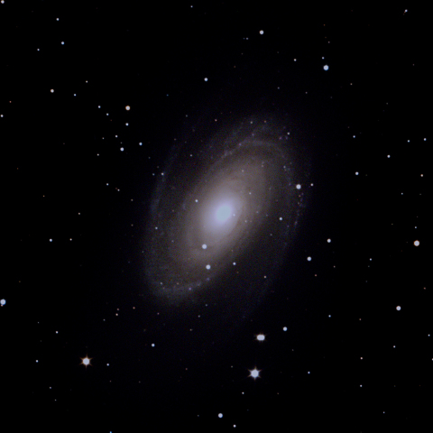 M81