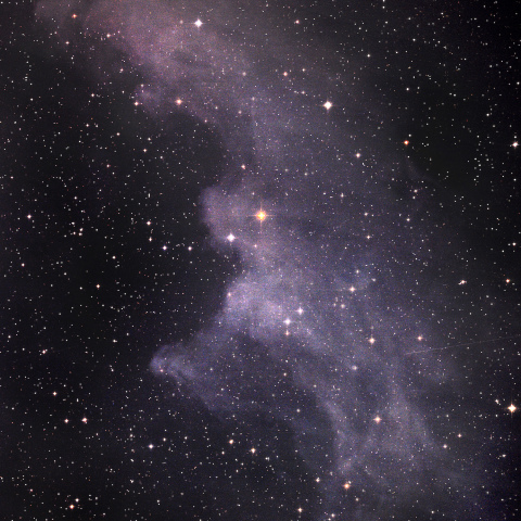 IC2118 (魔女の横顔星雲)