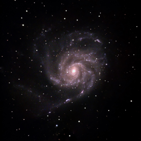 M101
