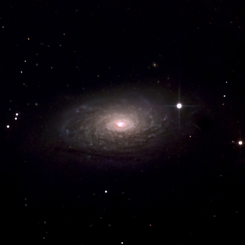 M63