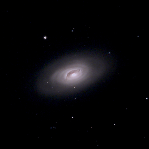 M64