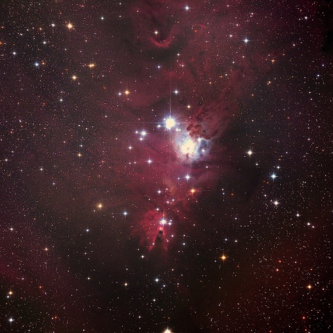 クリスマスツリー星団付近