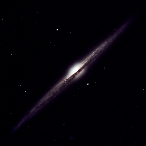 NGC4565