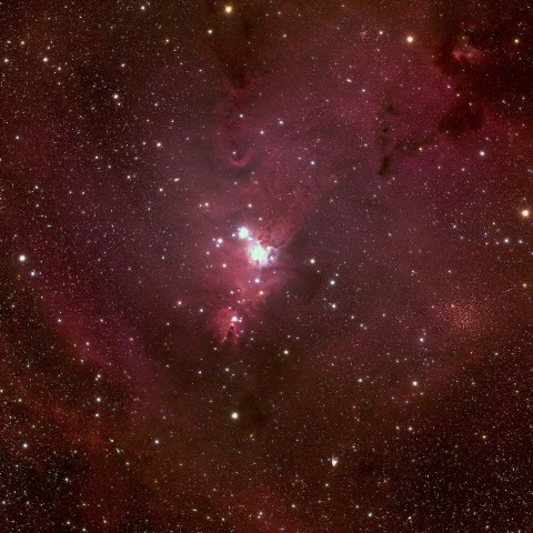 クリスマスツリー星団付近