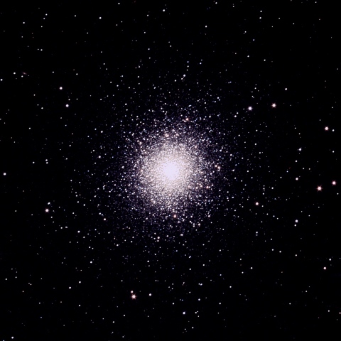M13