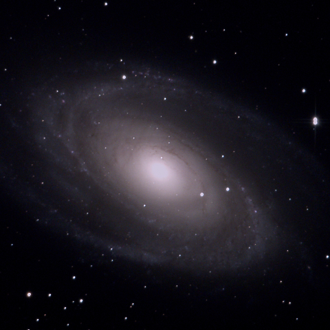 M81
