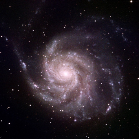 M101