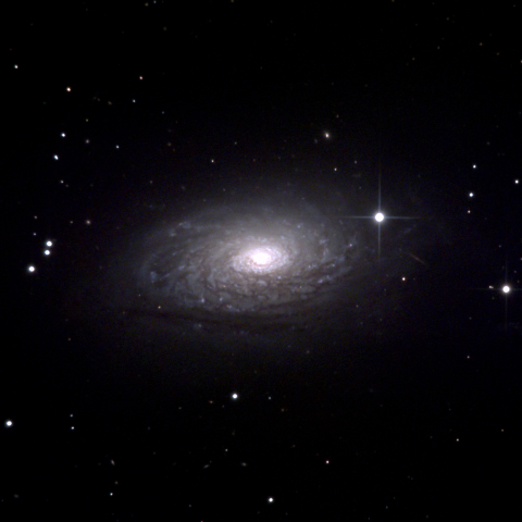 M63