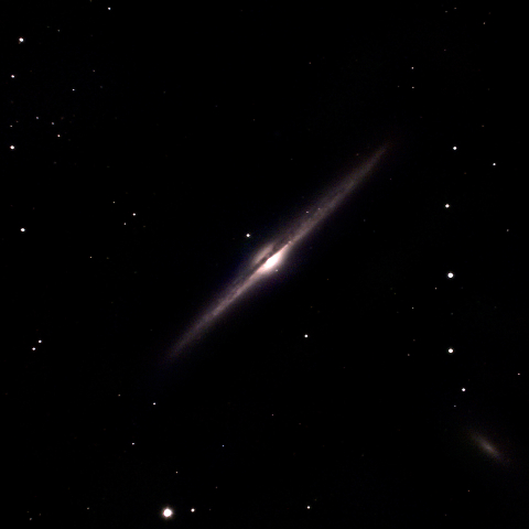 NGC4565