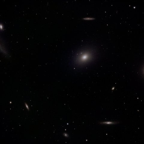 マルカリアン・チェーンの根元？