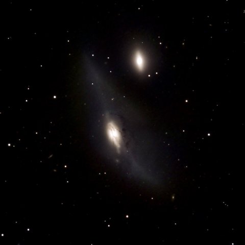 NGC4438