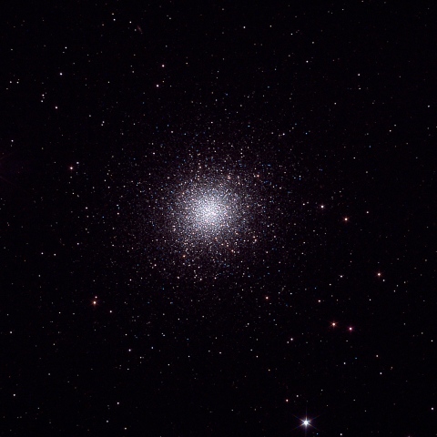 M13
