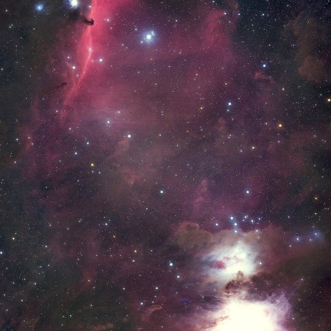 馬頭星雲からM42 StarNet++での再処理版