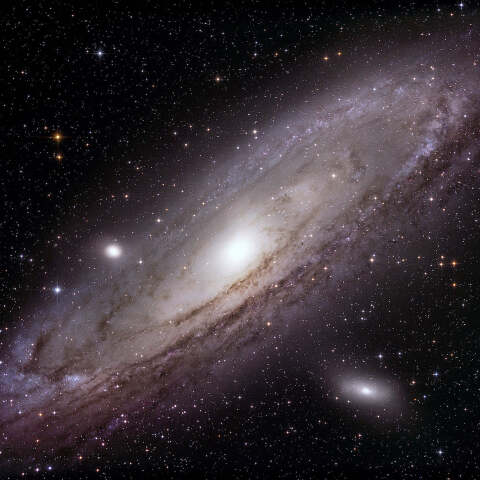M31