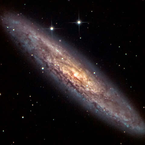 NGC253