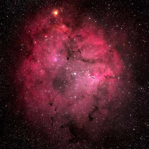 IC1396とガーネットスター