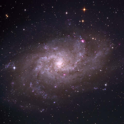 M33