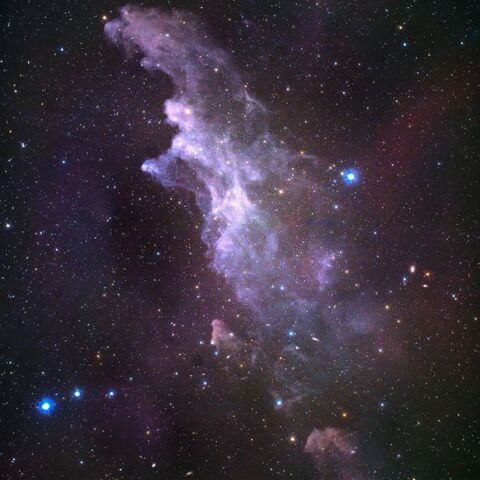 魔女の横顔星雲 (IC2118)