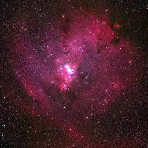 クリスマスツリー星団　コーン星雲　付近