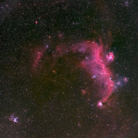 IC2177 (Seagull Nebula カモメ星雲)