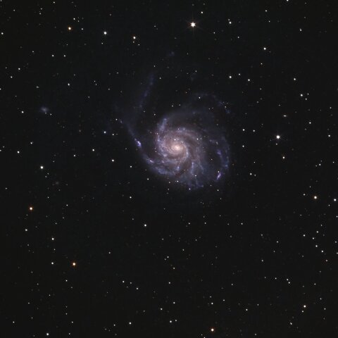 M101