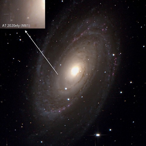 AT 2020ely (M81)
