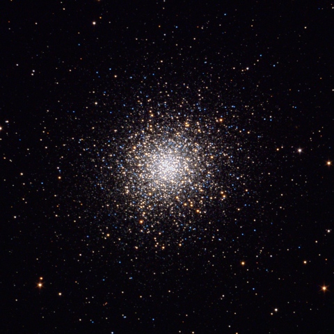 M13