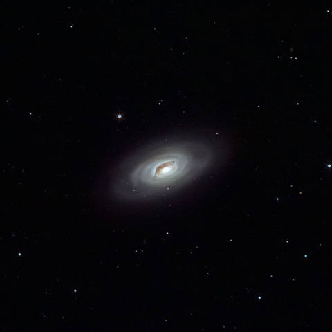 M64