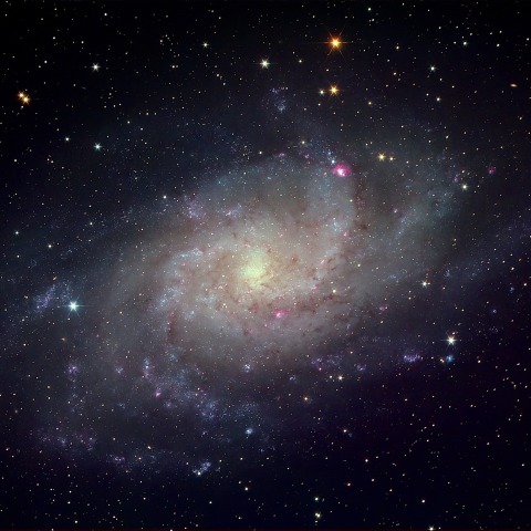 M33