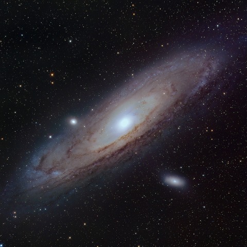 M31