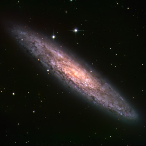 NGC253