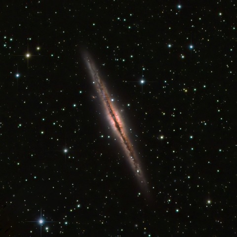 NGC891