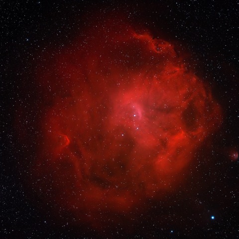 エンゼルフィッシュ星雲