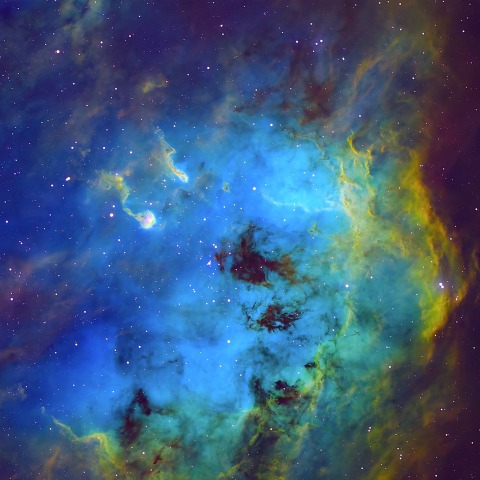 オタマジャクシ星雲 (IC410 )