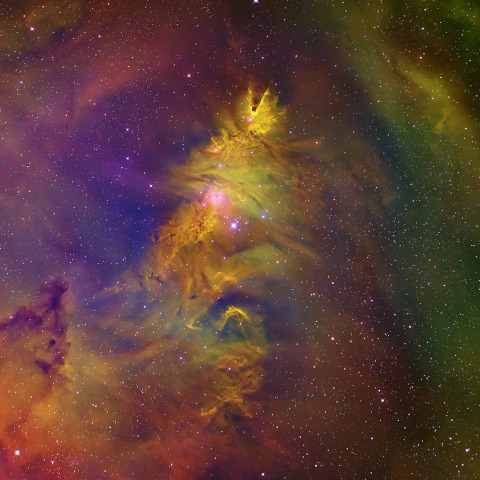 クリスマスツリー星団　(NGC2264)