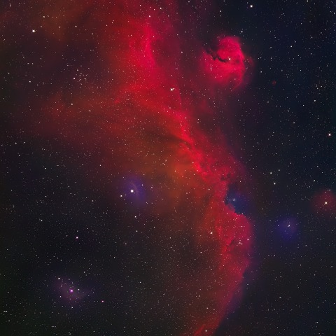 Seagull Nebula　(かもめ星雲・IC2177)