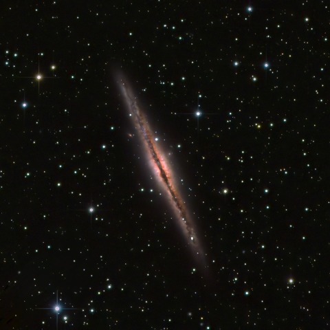 NGC891