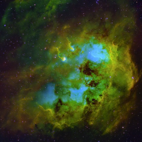 オタマジャクシ星雲 (IC410)