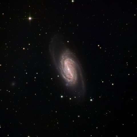 NGC2903